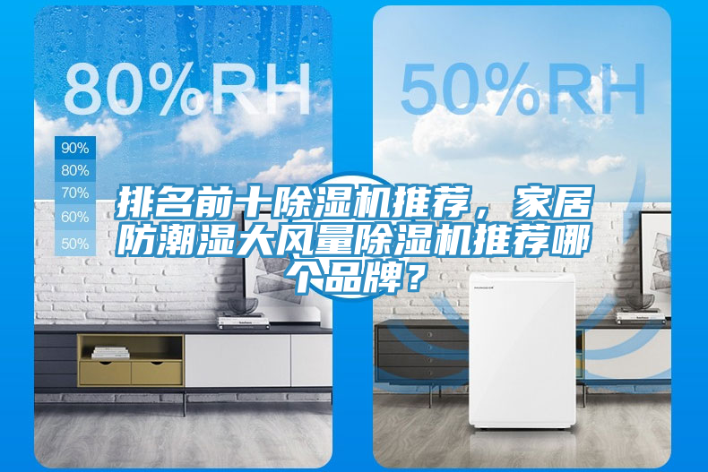 排名前十榴莲视频官网APP推薦，家居防潮濕大風量榴莲视频官网APP推薦哪個品牌？
