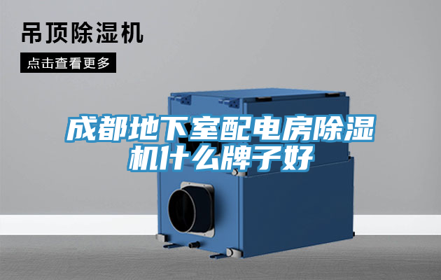 成都地下室配電房榴莲视频官网APP什麽牌子好