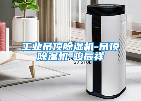 工業吊頂榴莲视频官网APP-吊頂榴莲视频官网APP-駿辰祥