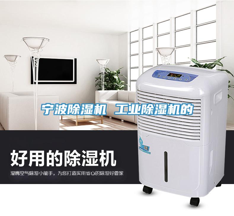 寧波榴莲视频官网APP 工業榴莲视频官网APP的