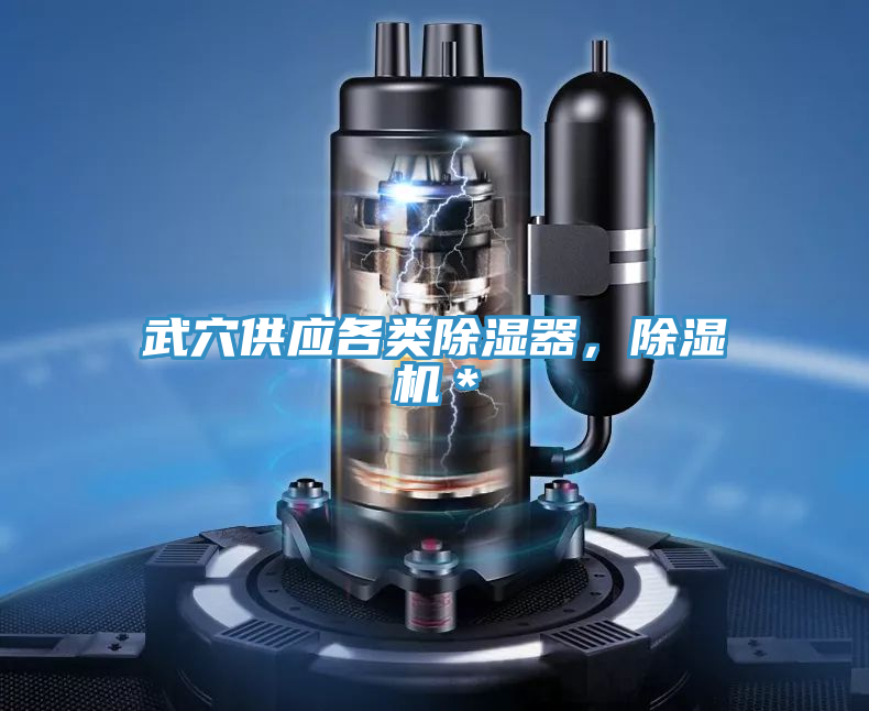 武穴供應各類除濕器，榴莲视频官网APP＊