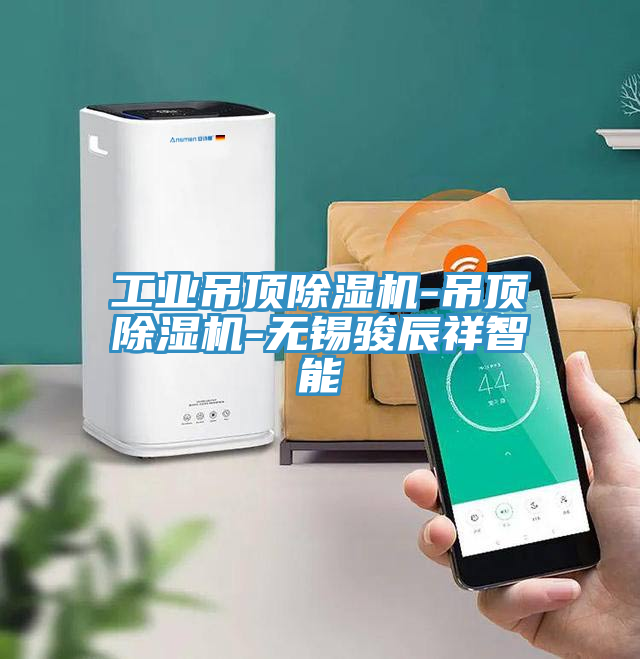 工業吊頂榴莲视频官网APP-吊頂榴莲视频官网APP-無錫駿辰祥智能