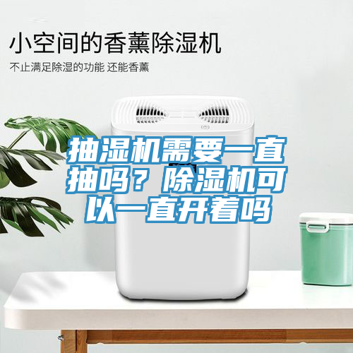 抽濕機需要一直抽嗎？榴莲视频官网APP可以一直開著嗎