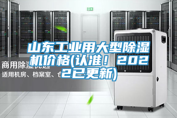 山東工業用大型榴莲视频官网APP價格(認準！2022已更新)