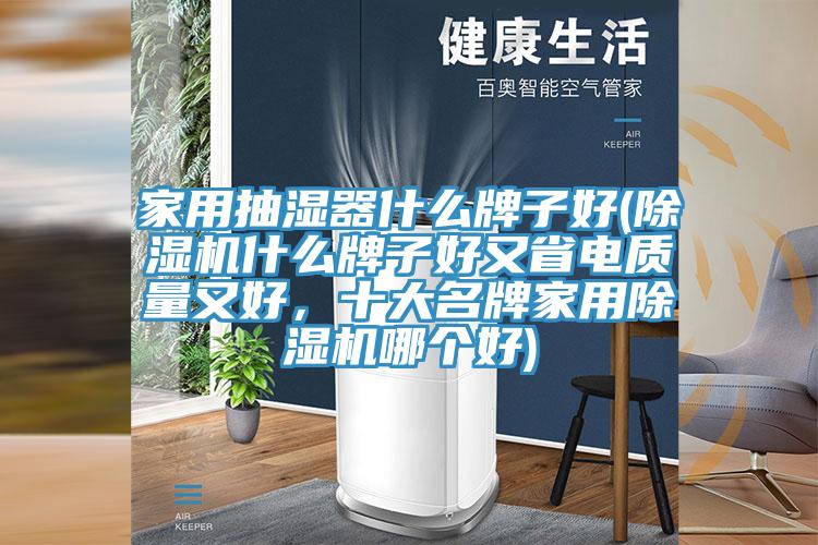 家用抽濕器什麽牌子好(榴莲视频官网APP什麽牌子好又省電質量又好，十大名牌家用榴莲视频官网APP哪個好)