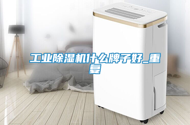 工業榴莲视频官网APP什麽牌子好_重複