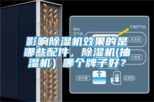 影響榴莲视频官网APP效果的是哪些配件，榴莲视频官网APP(抽濕機）哪個牌子好？