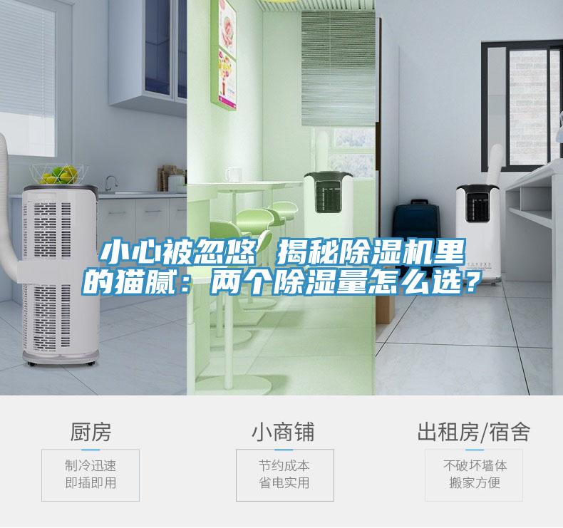 小心被忽悠 揭秘榴莲视频官网APP裏的貓膩：兩個除濕量怎麽選？