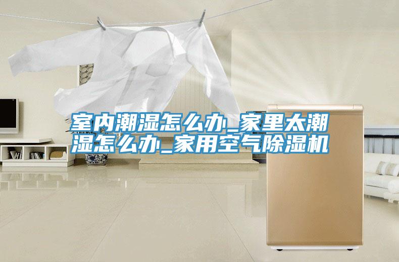 室內潮濕怎麽辦_家裏太潮濕怎麽辦_家用空氣榴莲视频官网APP