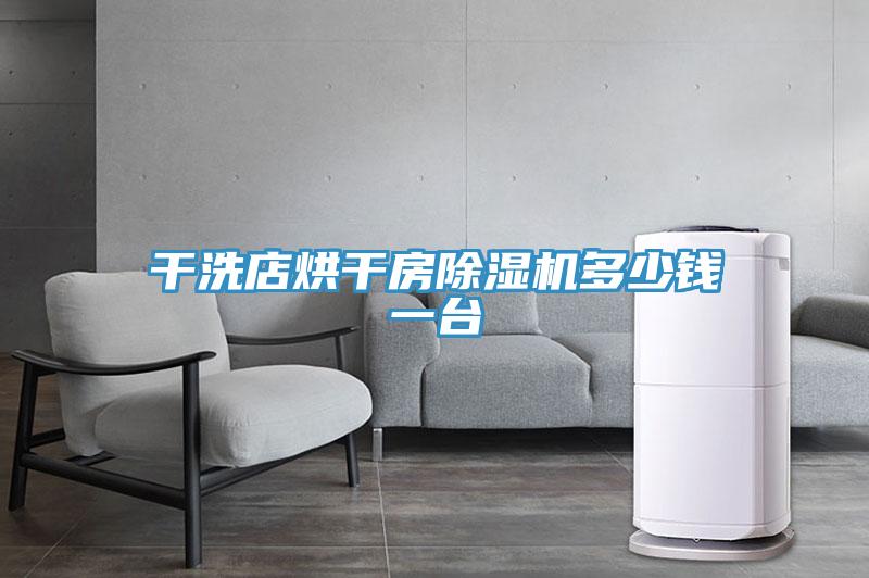 幹洗店烘幹房榴莲视频官网APP多少錢一台