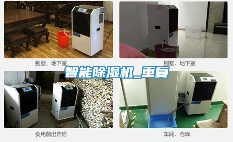 智能榴莲视频官网APP_重複