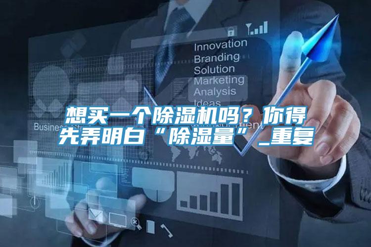 想買一個榴莲视频官网APP嗎？你得先弄明白“除濕量”_重複