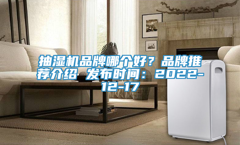 抽濕機品牌哪個好？品牌推薦介紹 發布時間：2022-12-17
