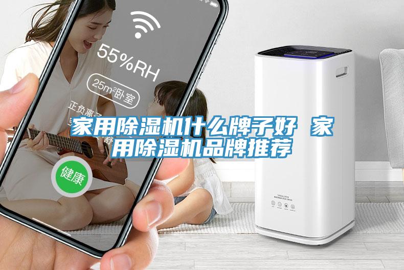 家用榴莲视频官网APP什麽牌子好 家用榴莲视频官网APP品牌推薦