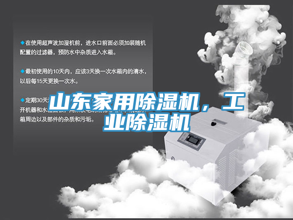 山東家用榴莲视频官网APP，工業榴莲视频官网APP