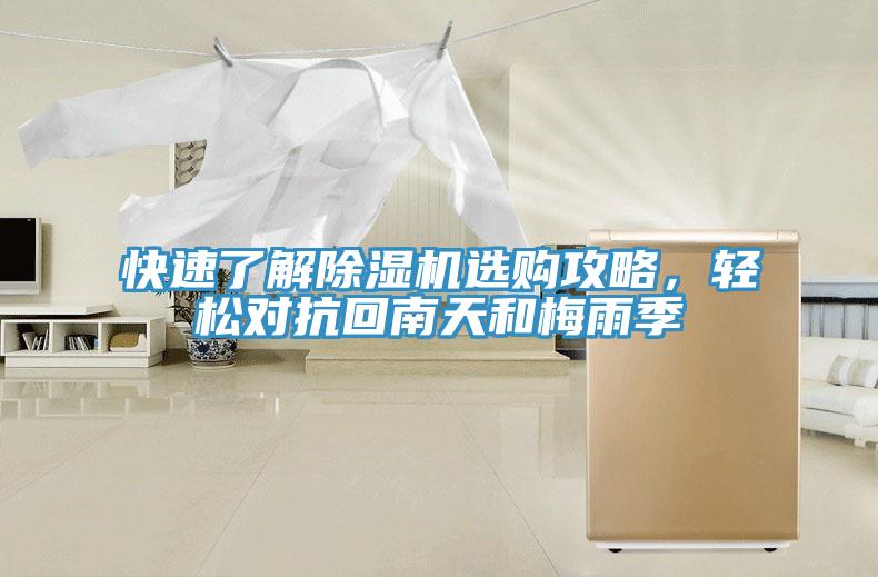 快速了解榴莲视频官网APP選購攻略，輕鬆對抗回南天和梅雨季
