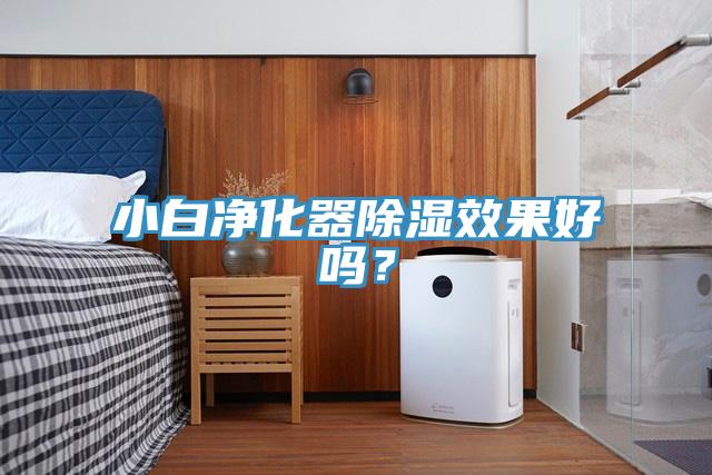 小白淨化器除濕效果好嗎？