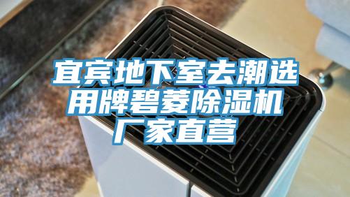 宜賓地下室去潮選用牌碧菱榴莲视频官网APP廠家直營