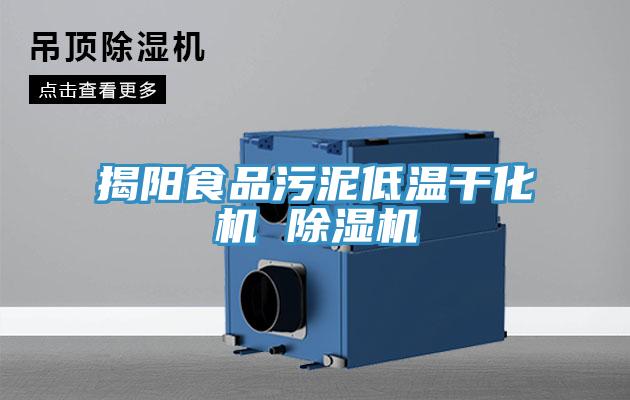揭陽食品汙泥低溫幹化機 榴莲视频官网APP