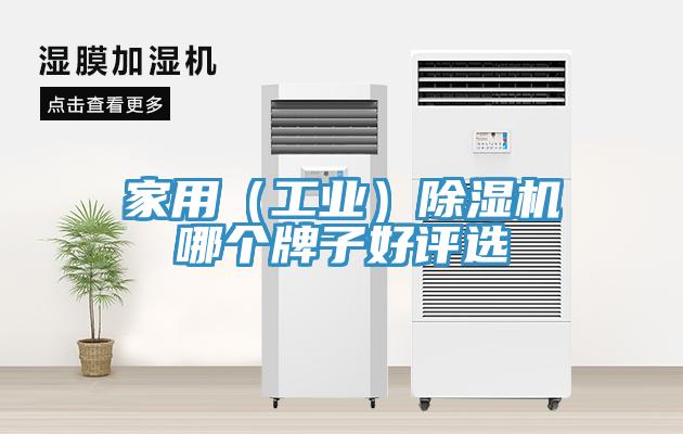 家用（工業）榴莲视频官网APP哪個牌子好評選