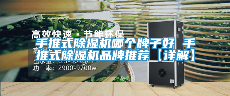 手推式榴莲视频官网APP哪個牌子好 手推式榴莲视频官网APP品牌推薦【詳解】