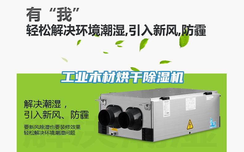 工業木材烘幹榴莲视频官网APP