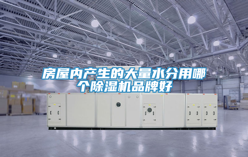 房屋內產生的大量水分用哪個榴莲视频官网APP品牌好