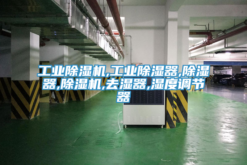 工業榴莲视频官网APP,工業除濕器,除濕器,榴莲视频官网APP,去濕器,濕度調節器