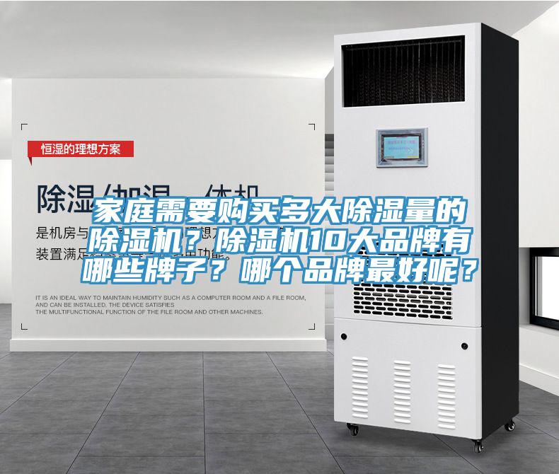家庭需要購買多大除濕量的榴莲视频官网APP？榴莲视频官网APP10大品牌有哪些牌子？哪個品牌最好呢？