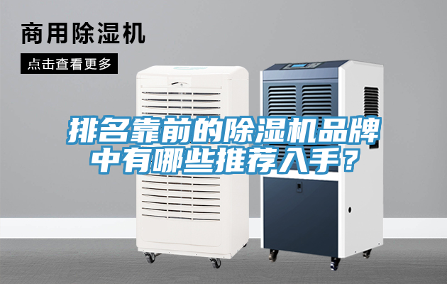 排名靠前的榴莲视频官网APP品牌中有哪些推薦入手？