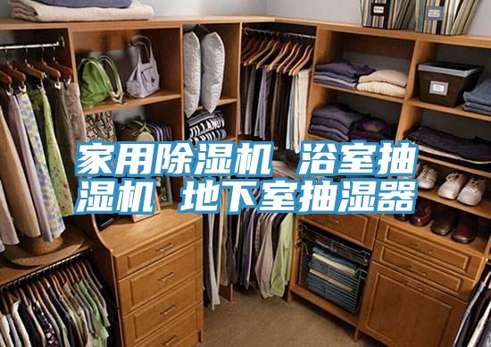 家用榴莲视频官网APP 浴室抽濕機 地下室抽濕器
