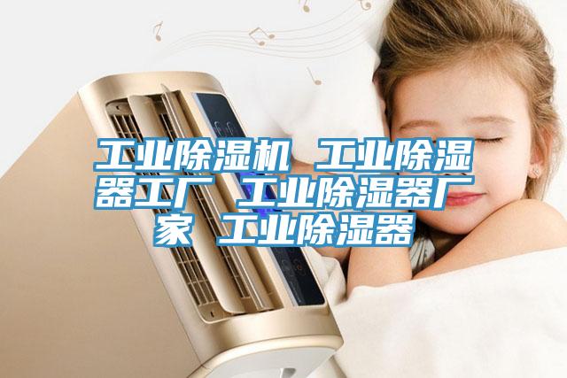 工業榴莲视频官网APP 工業除濕器工廠 工業除濕器廠家 工業除濕器
