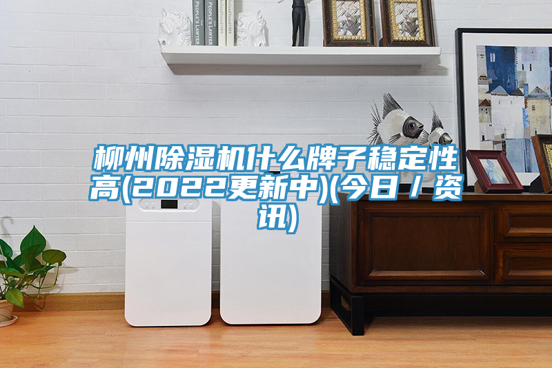 柳州榴莲视频官网APP什麽牌子穩定性高(2022更新中)(今日／資訊)