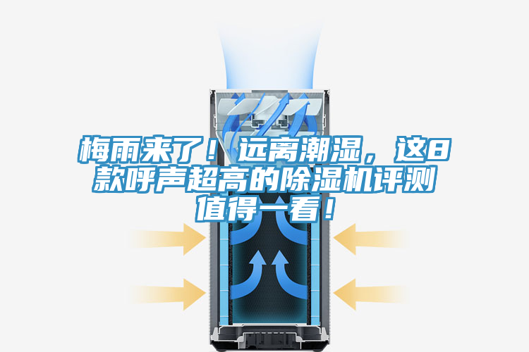 梅雨來了！遠離潮濕，這8款呼聲超高的榴莲视频官网APP評測值得一看！