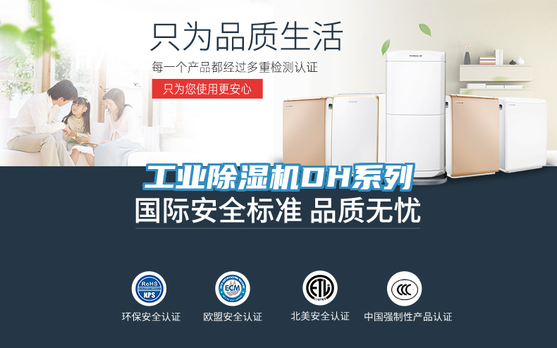 工業榴莲视频官网APPDH係列