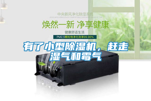 有了小型榴莲视频官网APP，趕走濕氣和黴氣