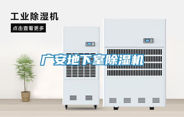 廣安地下室榴莲视频官网APP