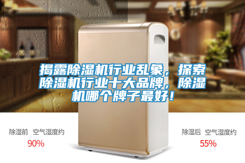 揭露榴莲视频官网APP行業亂象，探索榴莲视频官网APP行業十大品牌，榴莲视频官网APP哪個牌子最好！