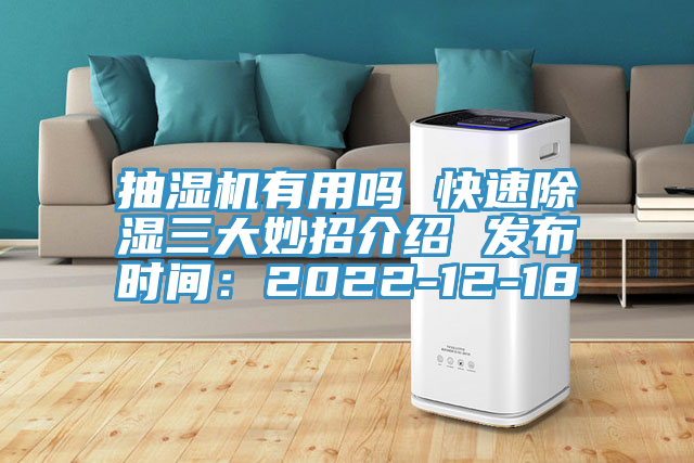 抽濕機有用嗎 快速除濕三大妙招介紹 發布時間：2022-12-18