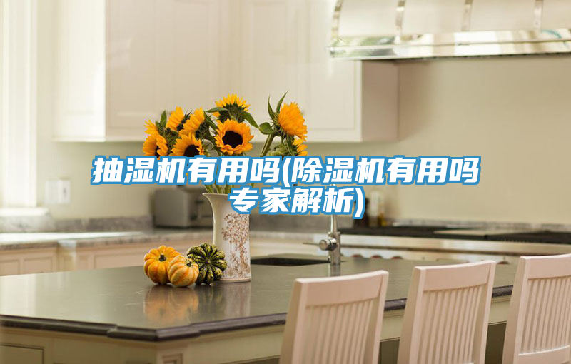 抽濕機有用嗎(榴莲视频官网APP有用嗎 專家解析)