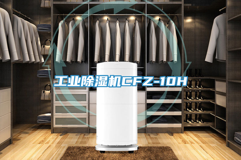 工業榴莲视频官网APPCFZ-10H