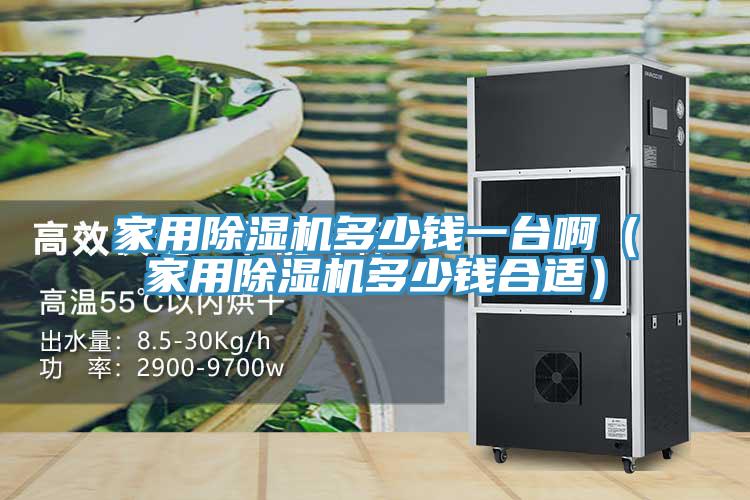 家用榴莲视频官网APP多少錢一台啊（家用榴莲视频官网APP多少錢合適）