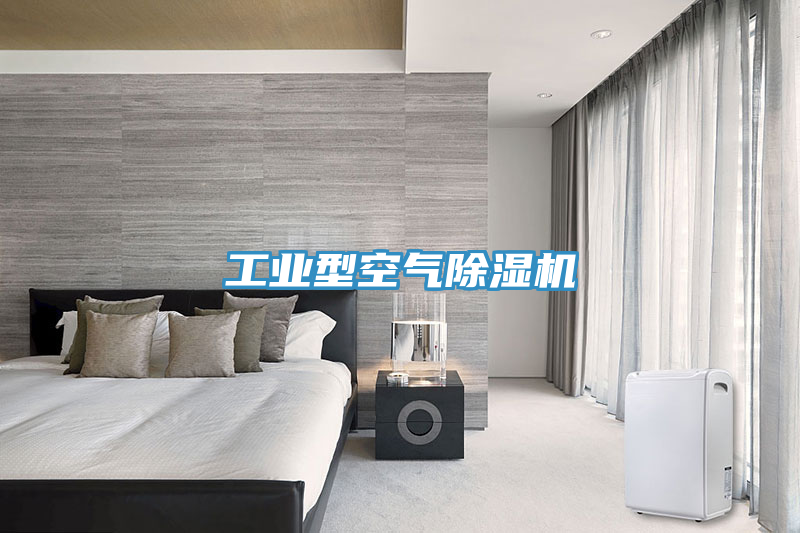 工業型空氣榴莲视频官网APP