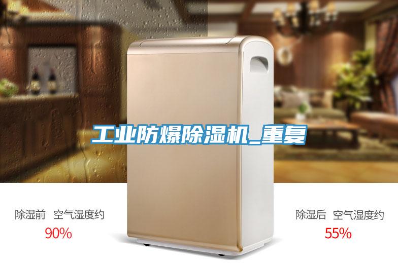工業防爆榴莲视频官网APP_重複