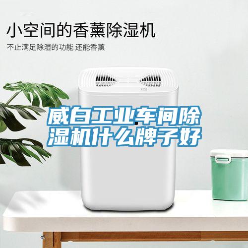 威白工業車間榴莲视频官网APP什麽牌子好