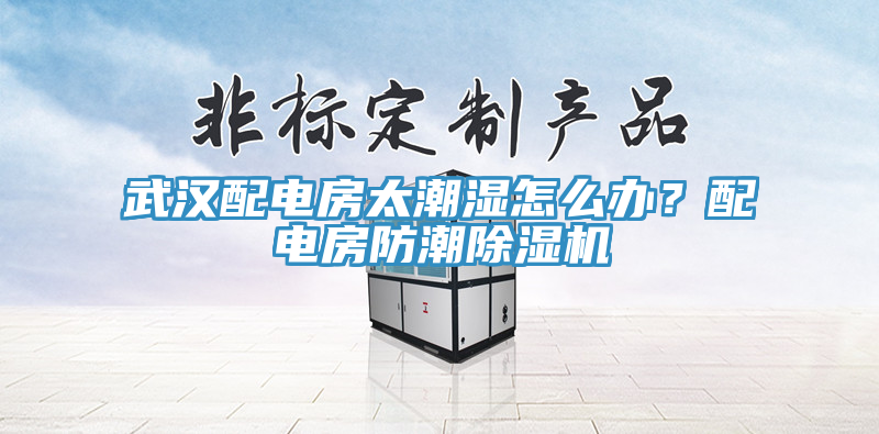 武漢配電房太潮濕怎麽辦？配電房防潮榴莲视频官网APP