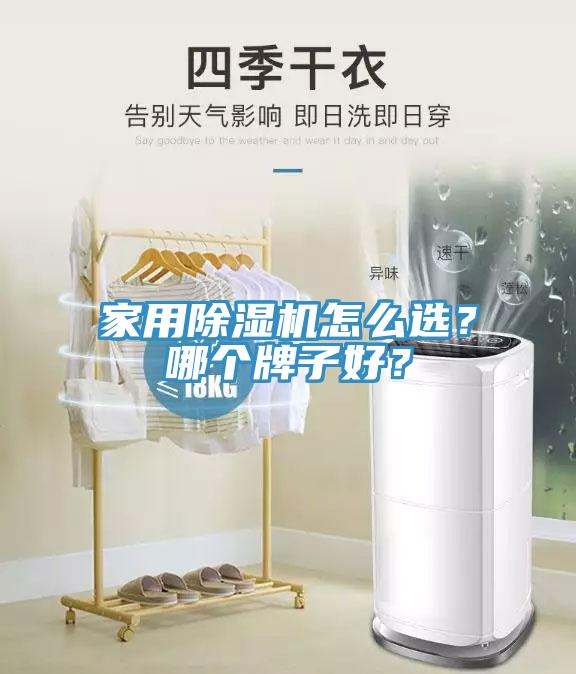 家用榴莲视频官网APP怎麽選？哪個牌子好？