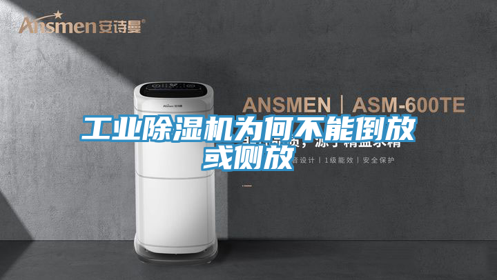 工業榴莲视频官网APP為何不能倒放或側放