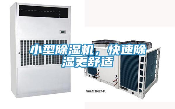 小型榴莲视频官网APP，快速除濕更舒適
