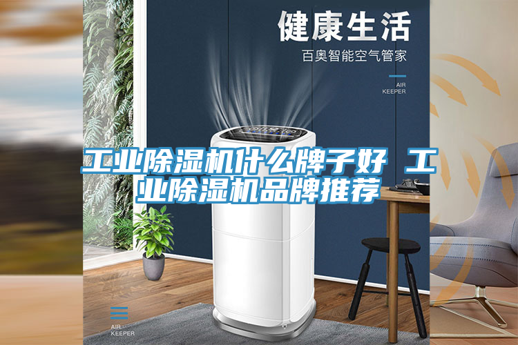 工業榴莲视频官网APP什麽牌子好 工業榴莲视频官网APP品牌推薦